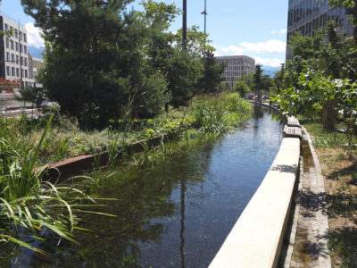 Bassin biologique et aménagement urbain à Grenoble, conçu par le bureau d’études Diluvial, spécialisé en fontainerie et maîtrise d’œuvre.