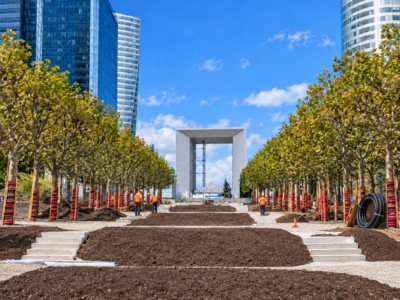 Chantier du Parc de l’Esplanade à Paris La Défense : alignements d’arbres et travaux des réseaux d’arrosage dans l’axe de la Grande Arche.